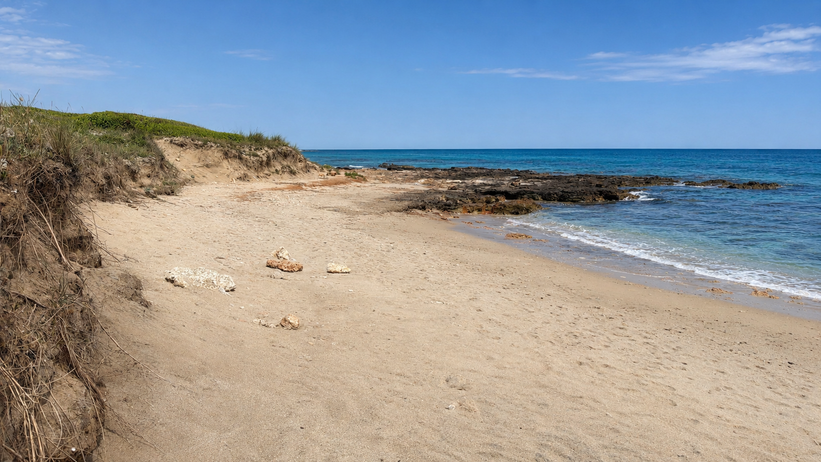 Caletta libera