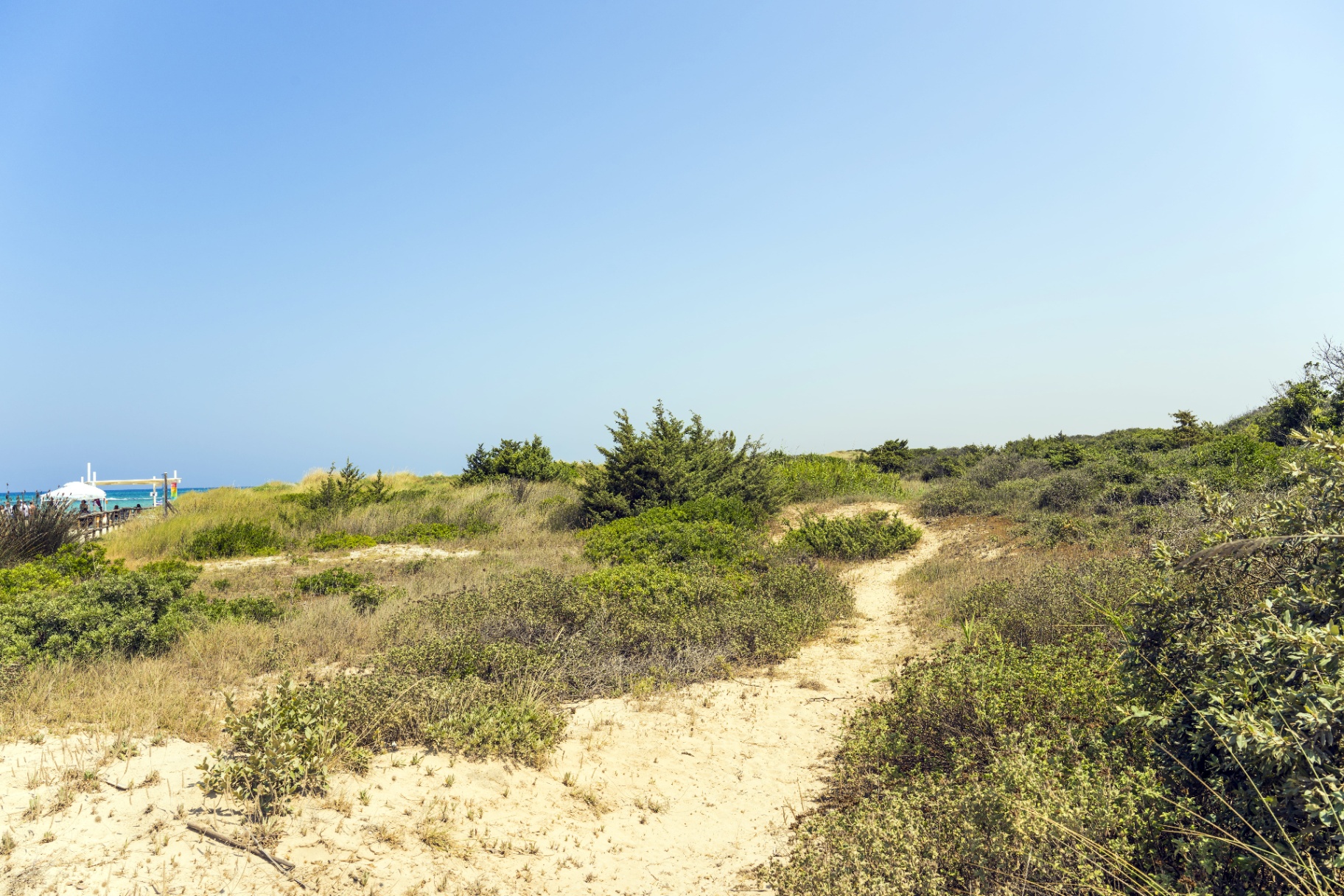 Sentiero nella Riserva di Torre Guaceto
